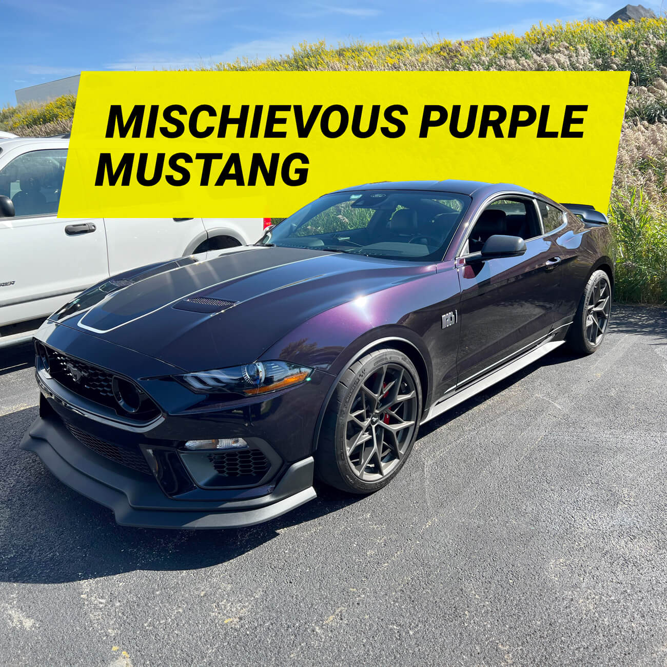 The Mischievous Purple 2022 Ford Mustang //